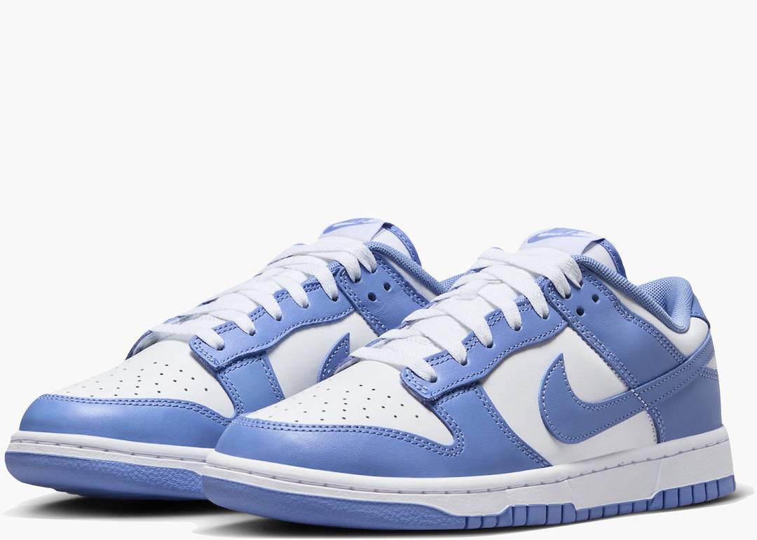 Dunk Low Polar Blue