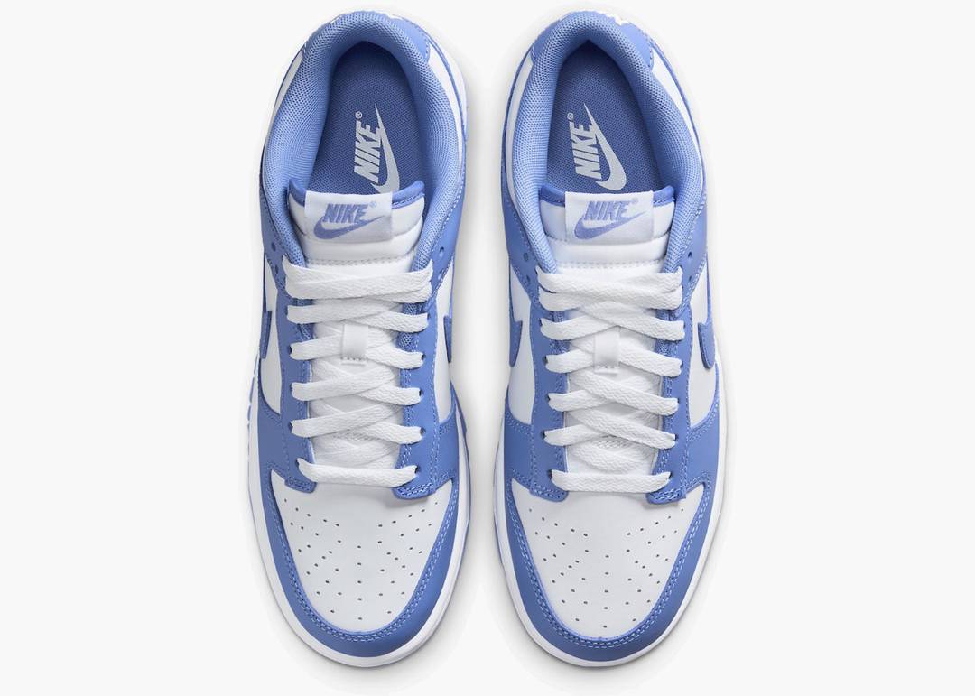 Dunk Low Polar Blue